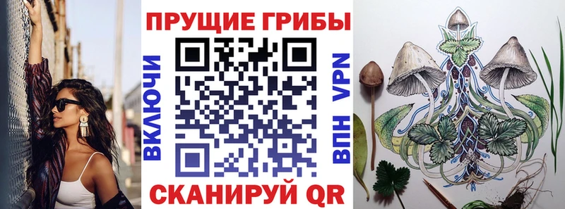 Галлюциногенные грибы GOLDEN TEACHER  где купить   Старый Крым 